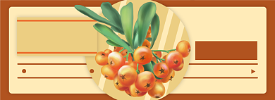 沙棘电商淘宝banner图背景