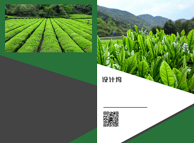 茶叶宣传广告印刷二折页背景