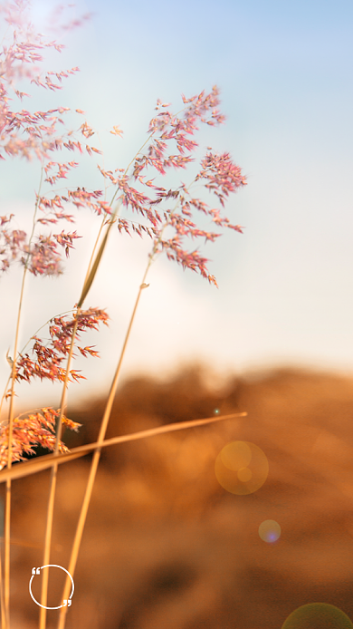 最期待的十二月你好海报背景