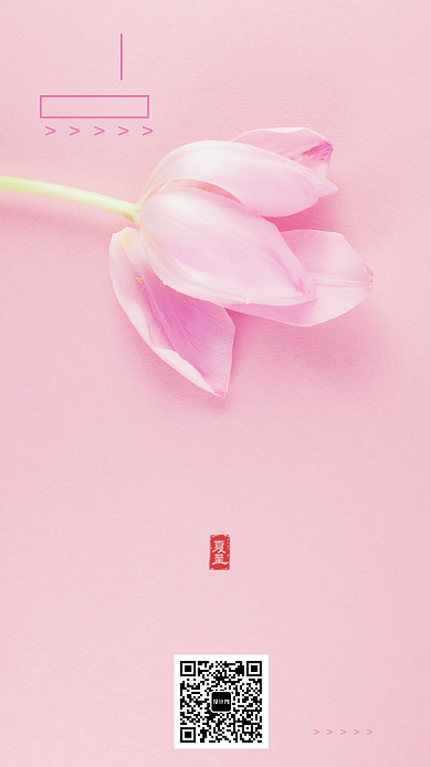 粉色生如夏花夏至海报背景