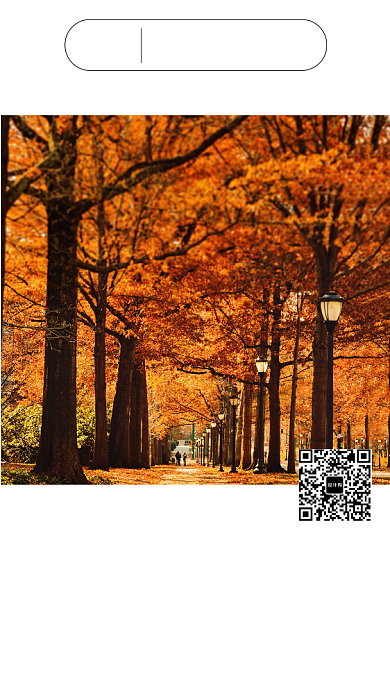 简约风景名人名言手机日签海报背景