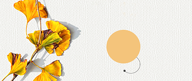 中国传统二十四节气立秋公众号封面背景