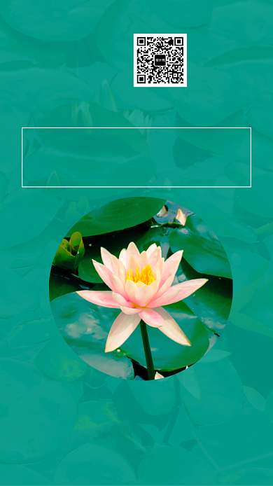 夏日荷花简约绿色日签月签手机海报背景