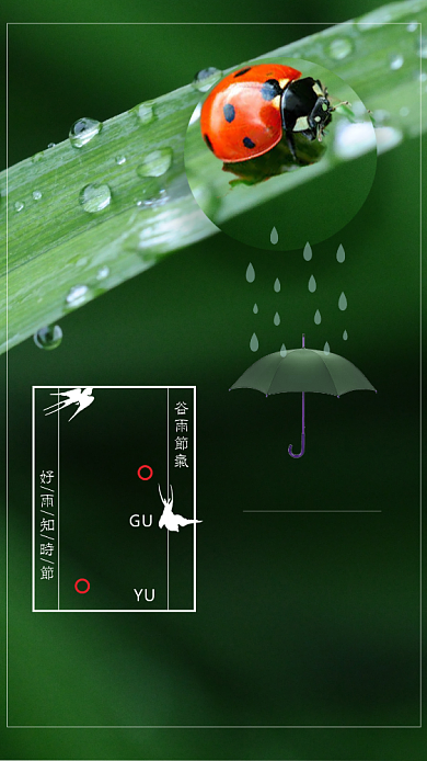 节气谷雨绿色植物树叶七星瓢虫手机海报背景
