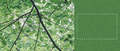 你好春天绿色小清新公众号首图背景