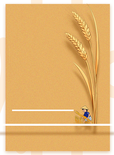 小满节气金色背景农忙麦穗印刷海报背景