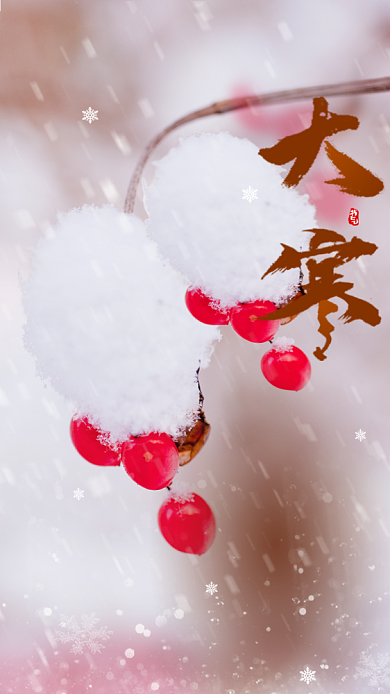 二十四节气大寒启动页海报背景