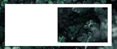 小清新文艺早安霜降节气公众号首图背景