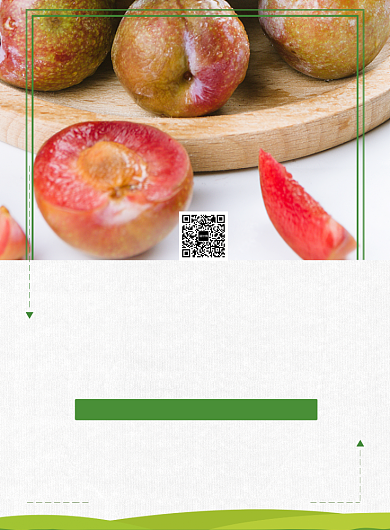 水果新鲜脆李海报背景