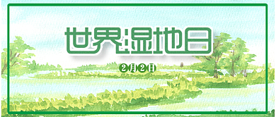 水彩插画简约风世界湿地日公众号首图背景