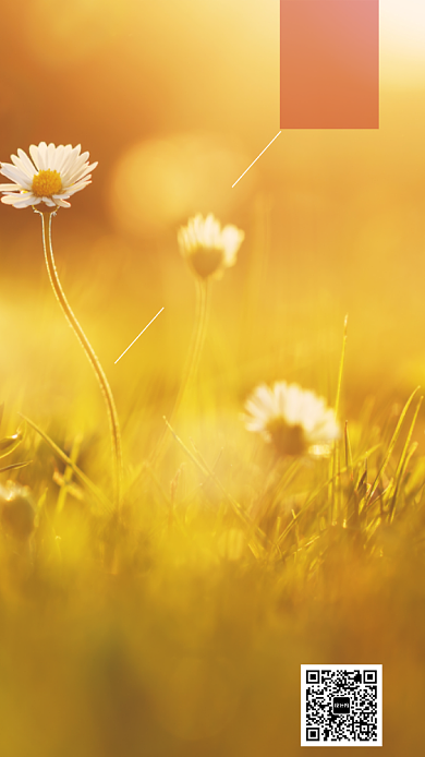 黄色高清人物早安手机海报背景