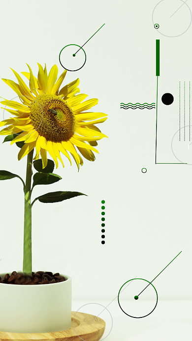 你好五月月签手机海报背景