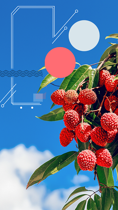 七月夏天文艺简约宣传海报背景