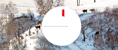 二十四节气中国传统节气冬至节气冬至配图微信公众号素材图片背景