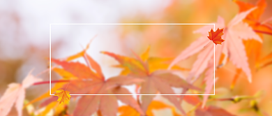 黄色金秋秋天季节宣传广告模板微信公众号素材图片背景