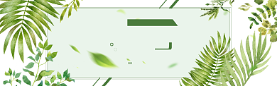 淡绿质感淘宝banner背景