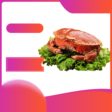 紫色橙色黄色海鲜大闸蟹秋季上新直通车背景