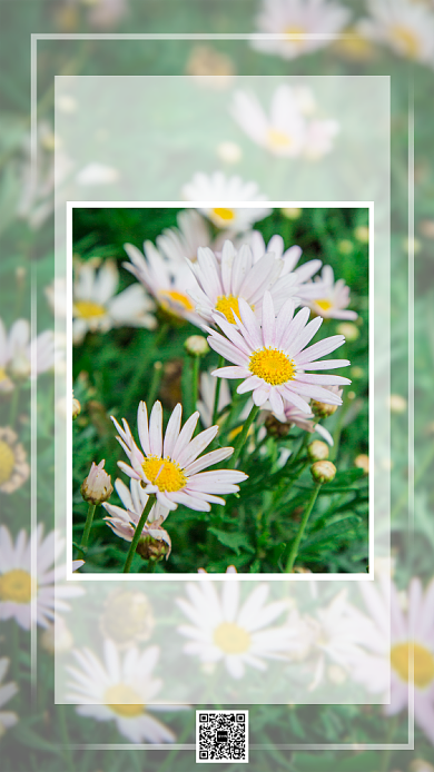 早安日签问候海报背景