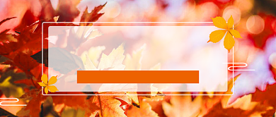 橙色秋分时节唯美首图背景