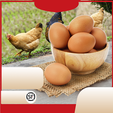 土鸡蛋直通车图背景