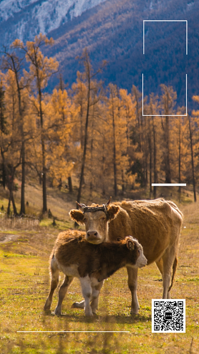 一月你好手机海报背景
