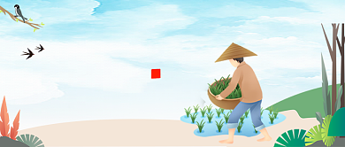 二十四节气芒种创意插画公众号首图背景