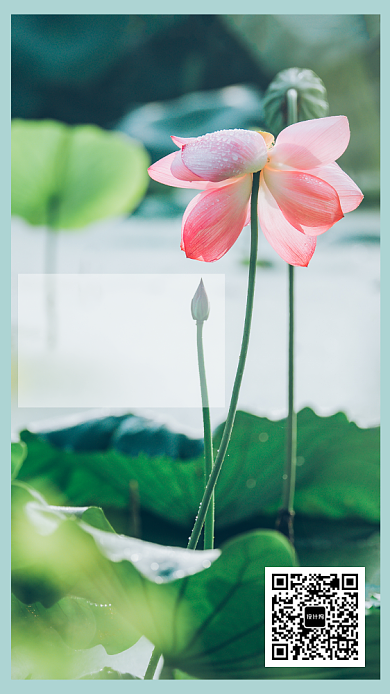 创意摄影日签海报背景