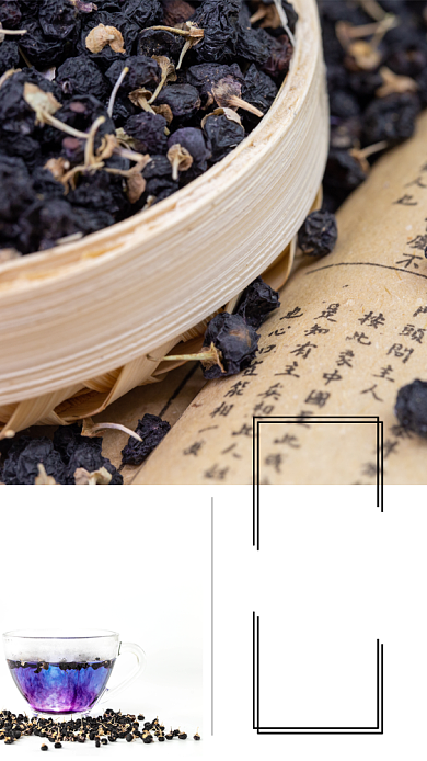 健康养生黑枸杞手机海报背景