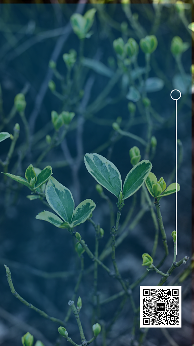 清新日签问候宣传海报背景