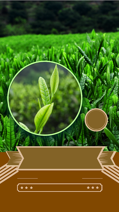 简约创意茶促销手机海报背景