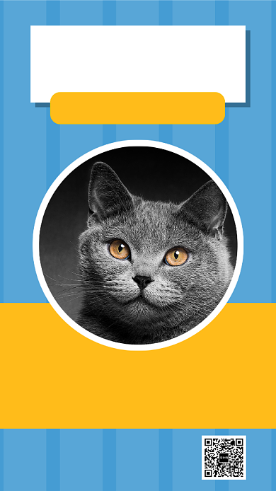 撞色宠物店手机海报模板背景