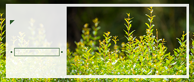 雨水节气公众号首图背景