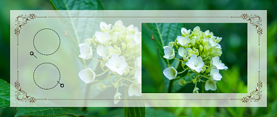 早安公众号首图背景