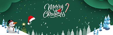 绿色圣诞节狂欢趴banner背景