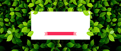 春夏上新优惠绿色叶子清新新媒体配图背景