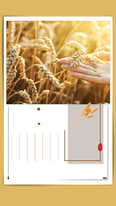 创意时节节气芒种海报背景