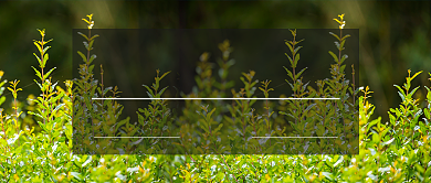 雨水节气公众号首图背景