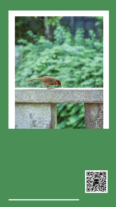 蓝色插画每日一签手机海报背景