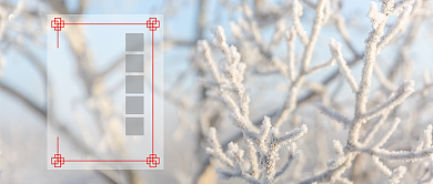 白色冬天树枝结霜二十四节气霜降气温寒冷微信公众号素材图片背景