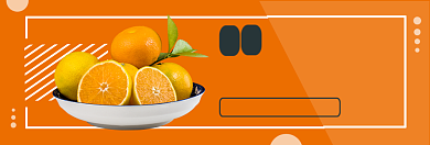 岭南薄皮甜橙淘宝banner背景