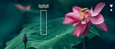 创意传统小暑节气首图背景