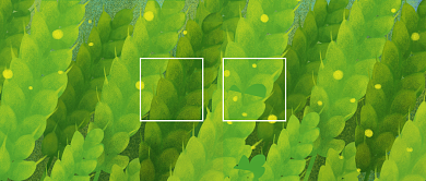 绿色创意小满节气微信公众号素材图片背景