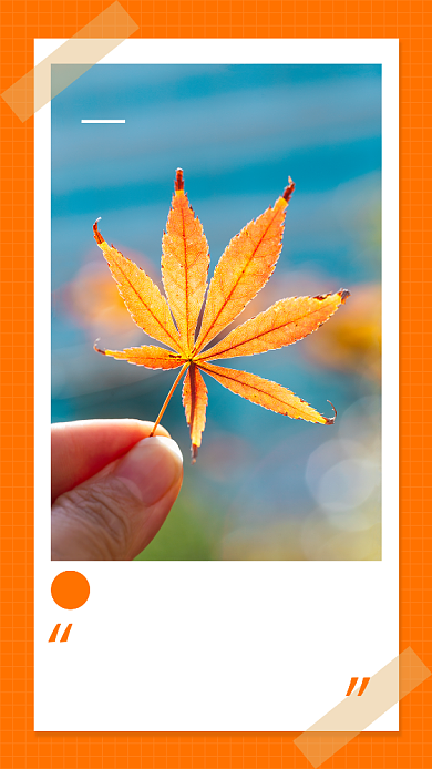 简约摄影风你好12月宣传手机海报背景