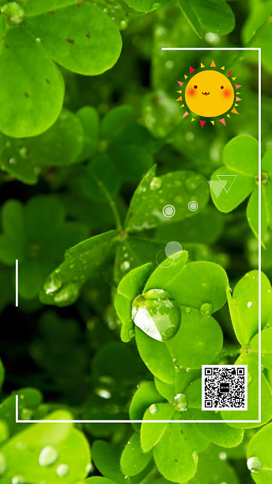 绿色植物8月月签海报背景