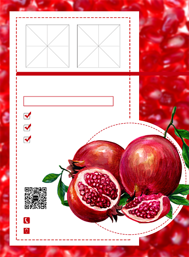 红色创意插画美食水果石榴印刷海报背景
