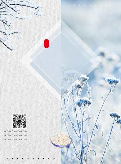 简洁时尚冬至节气印刷海报背景