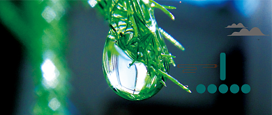 谷雨节气可爱水珠公众号首图背景