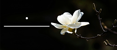 早安你好公众号首图背景