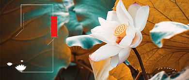 大暑节气公众号首图背景