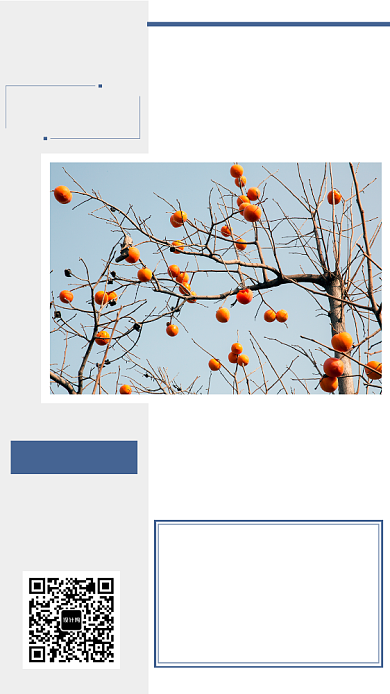 蓝色摄影画风霜降节气海报背景